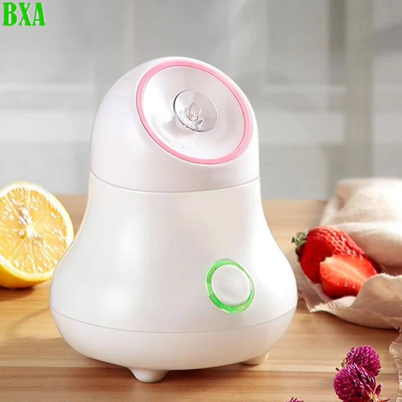 Fruit and Vegetable Facial Ste - огляд і ціна Facial Steamer Nano